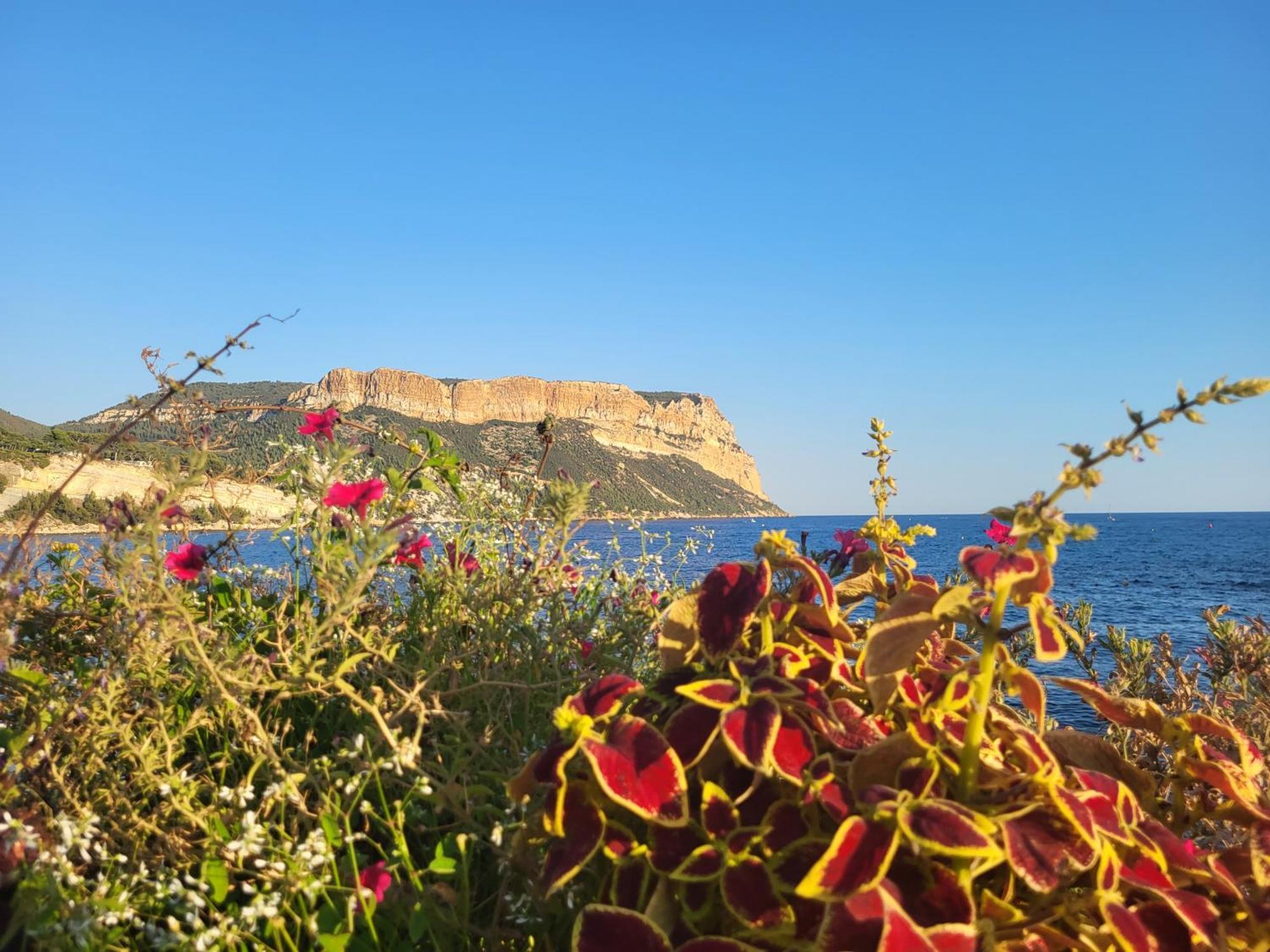 Apartment Bb Marseilles